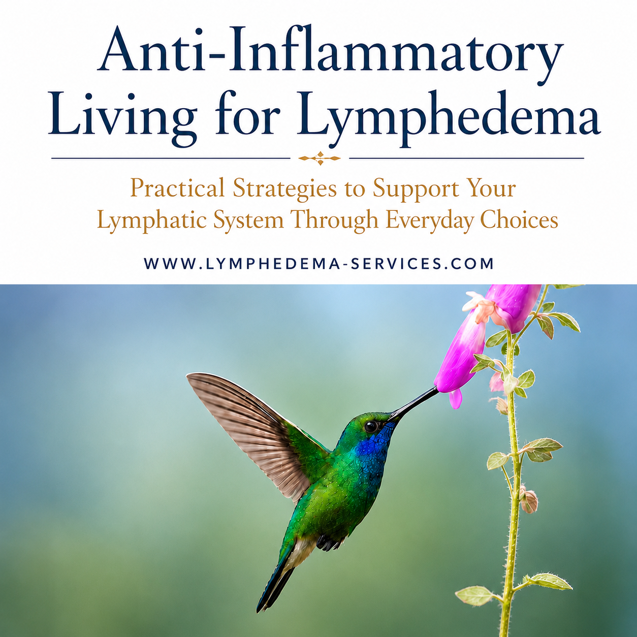 Digital Anti-Inflammatory Living for Lymphedema